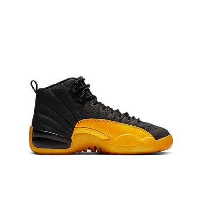 Air Jordan Retro 12 &