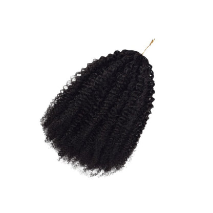 Real Human Hair Crochet Wigs Burmese Curly Extensions