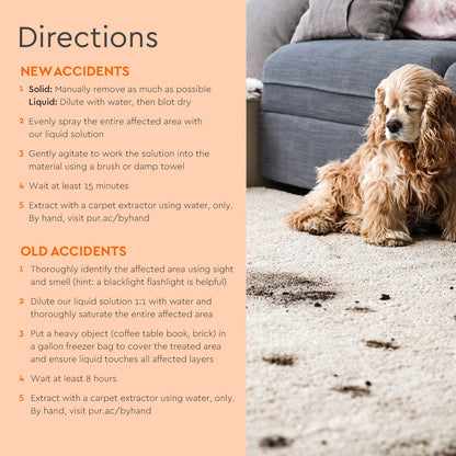 Pet Stain &amp; Odor Remover