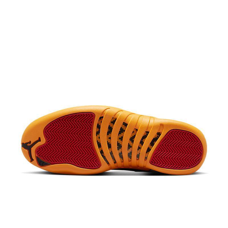 Air Jordan Retro 12 &