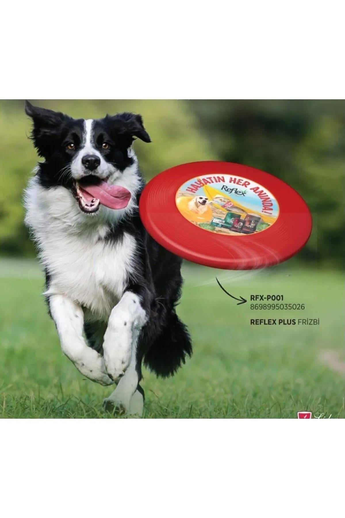 Reflex Plus Durable Dog Frisbee Toy for Active Play