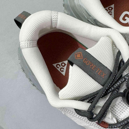 Nike ACG Mountain Fly 2 Low Gore-Tex &