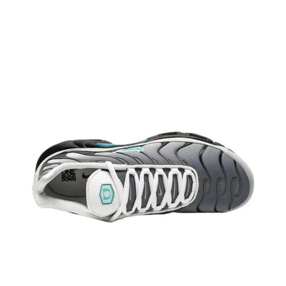 Nike Air Max Plus &