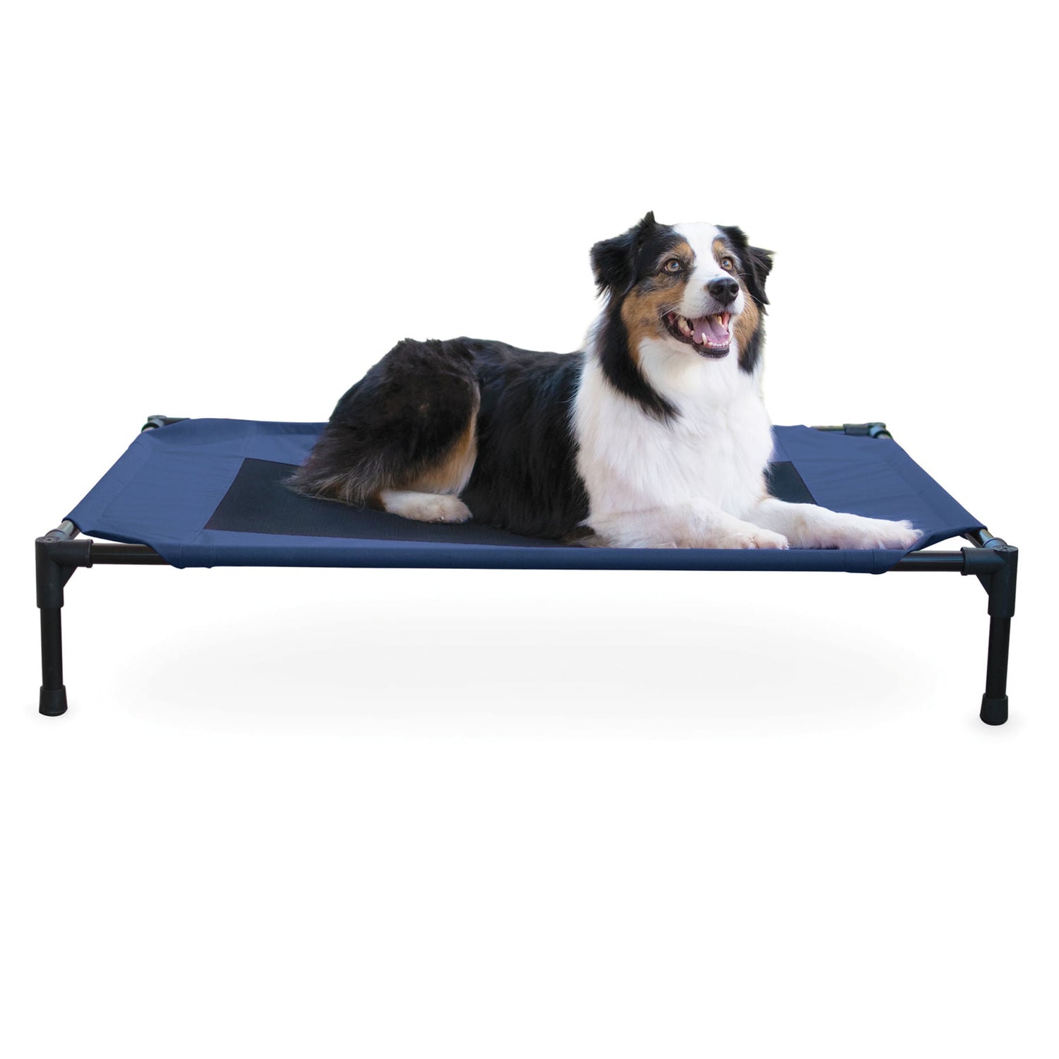K&amp;H Elevated Dog Bed, Small to X-Large
