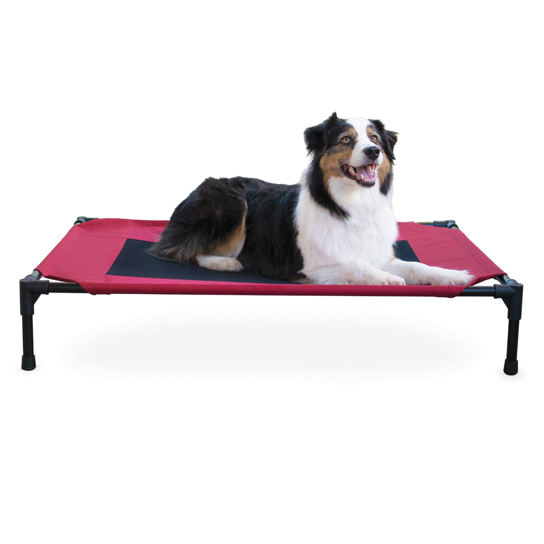 K&amp;H Elevated Dog Bed, Small to X-Large