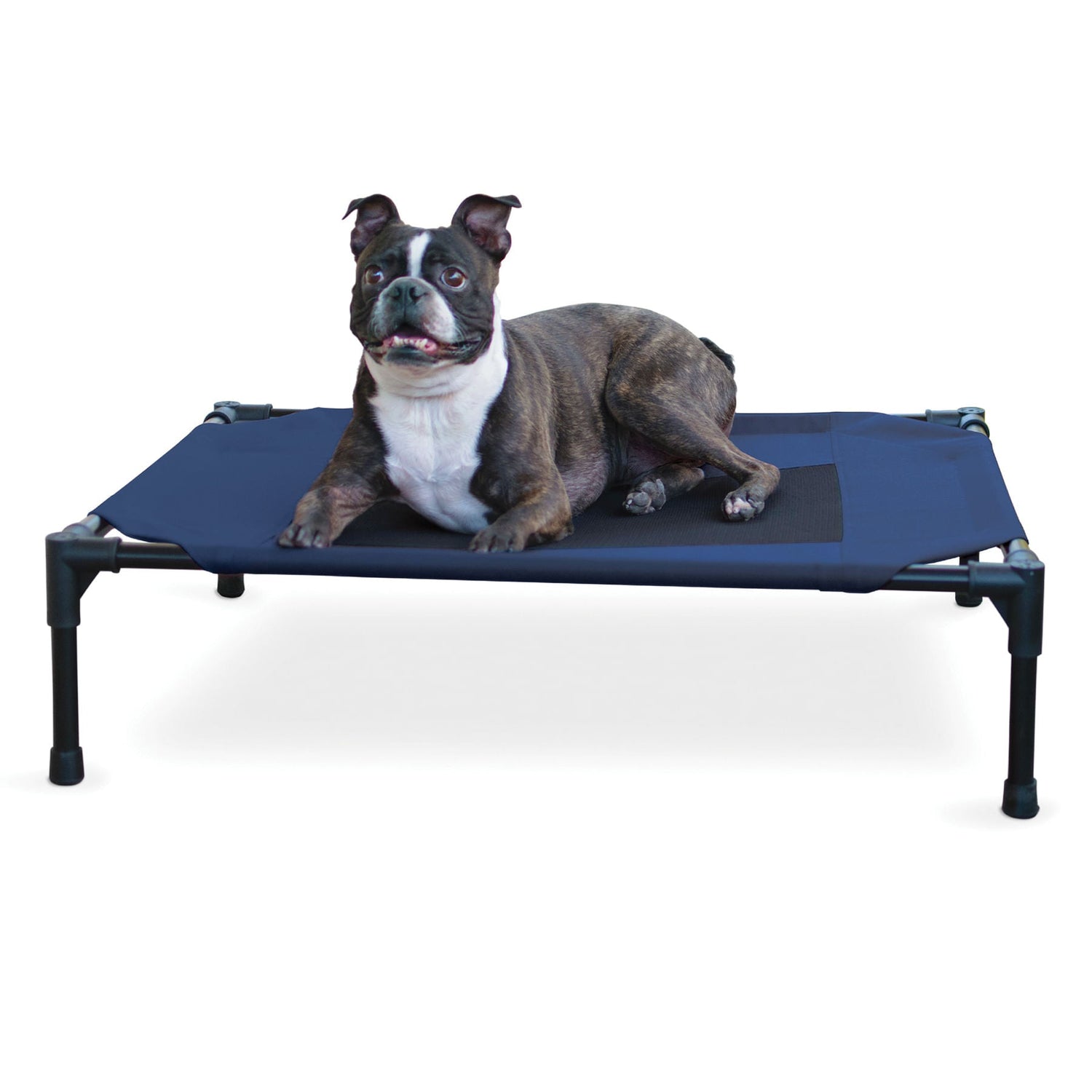 K&amp;H Elevated Dog Bed, Small to X-Large