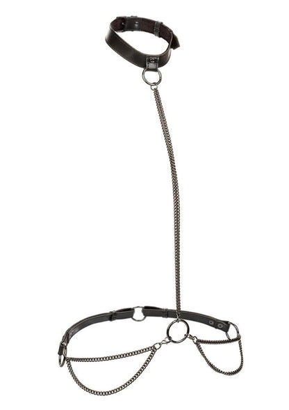 Euphoria Chain Halter Collar And Leash