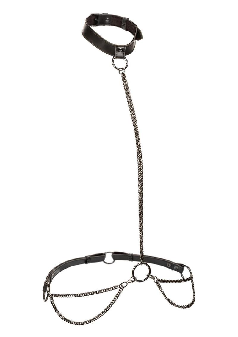 Euphoria Collection Plus Size Chain Halter Collar &amp; Leash