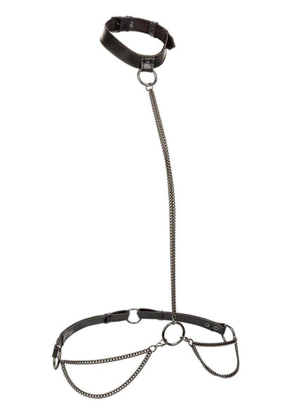 Euphoria Collection Plus Size Chain Halter Collar &amp; Leash