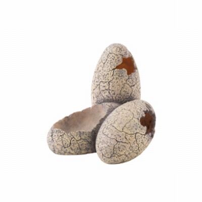 Exo Terra Dinosaur Egg Reptile Hideout Prehistoric Decor