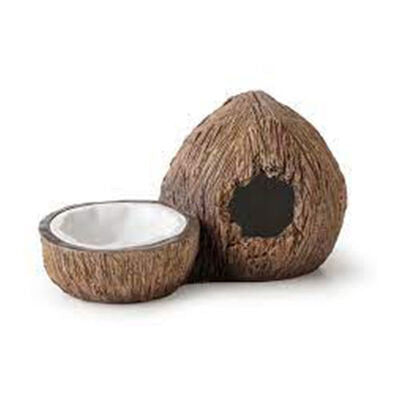 Exo Terra Coconut Reptile Hide and Water Dish for Terrariums