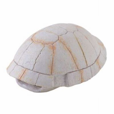 Exo Terra Turtle Shell Reptile Hideout Natural Decor