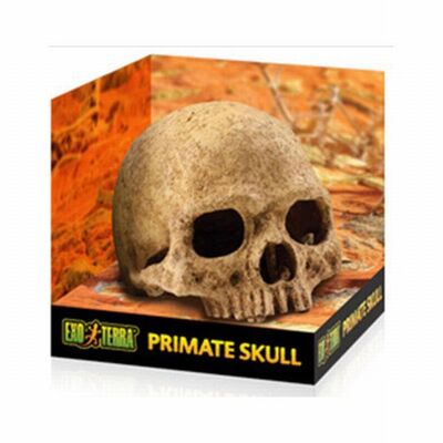 Exo Terra Primate Skull Hide for Reptiles &amp; Amphibians