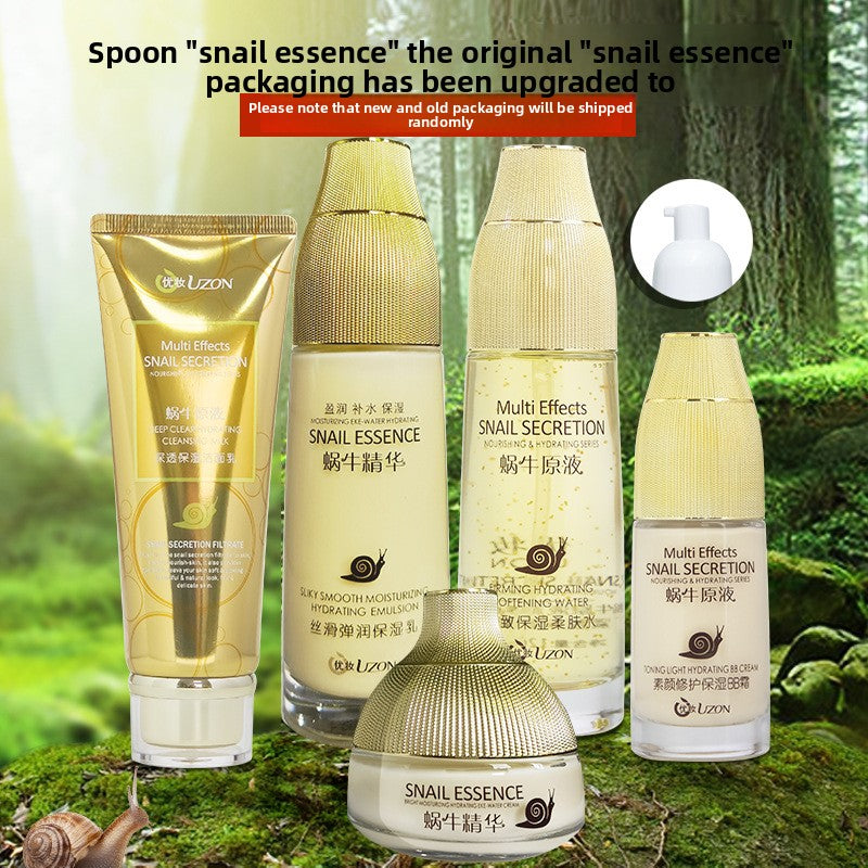 Snail Essence Skincare