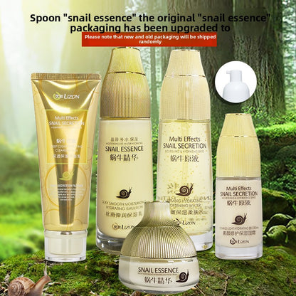 Snail Essence Skincare