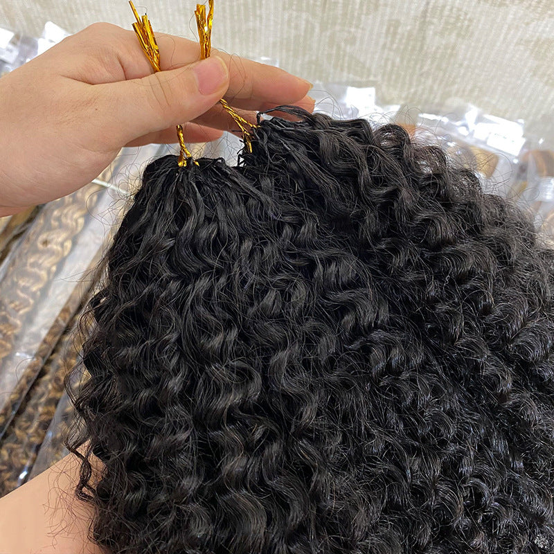 Real Human Hair Crochet Wigs Burmese Curly Extensions