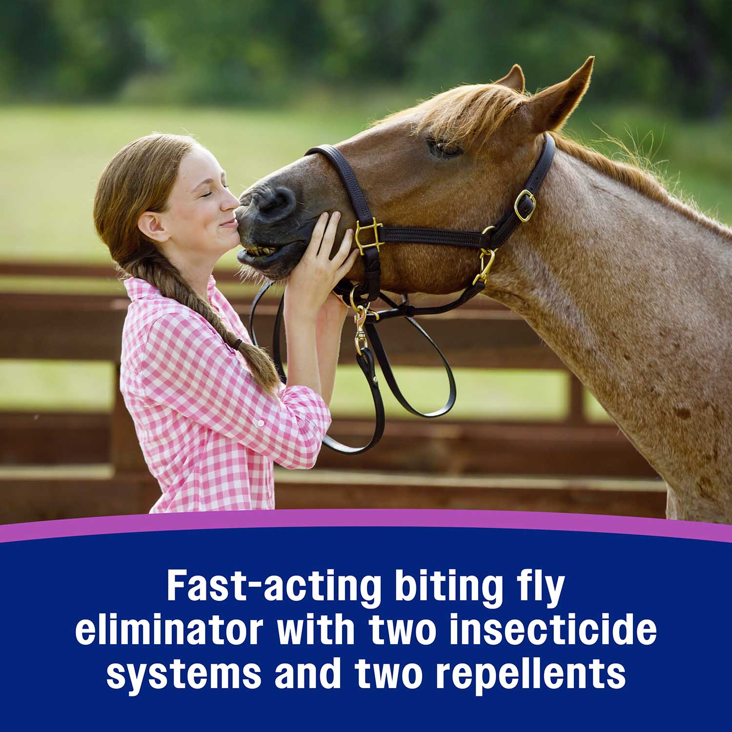 Flysect Super-7 Fly Spray
