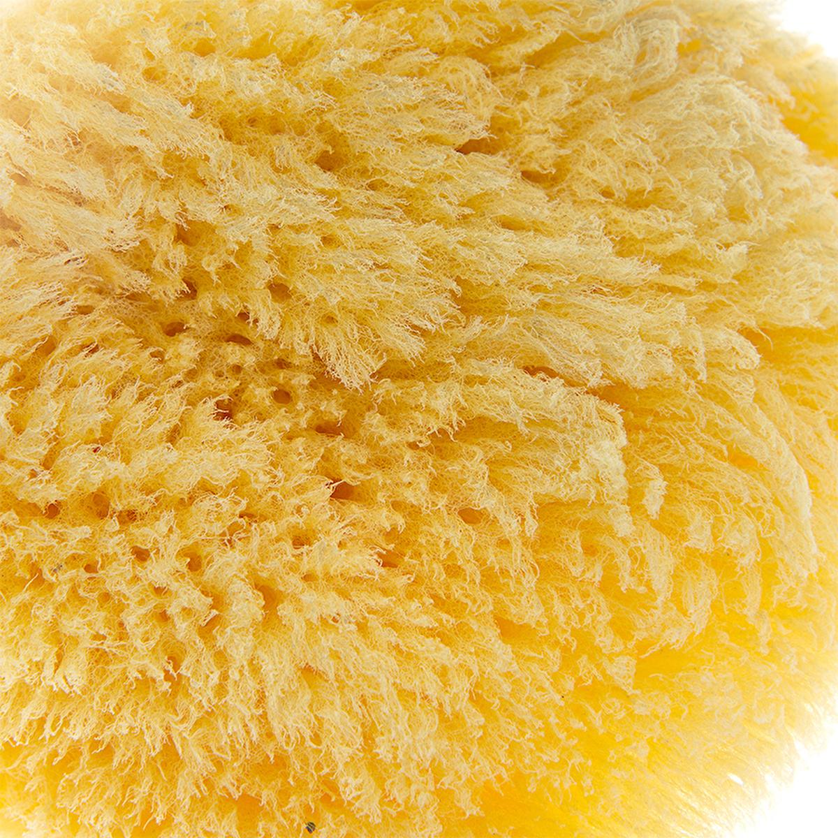 Babyjem Natural Sea Sponge for Gentle Baby Skin Care - Hypoallergenic &amp; Organic Bathing Solution