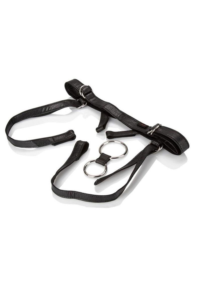 Her Royal Harness The Duchess Adjustable Harness Fits Up to 64in