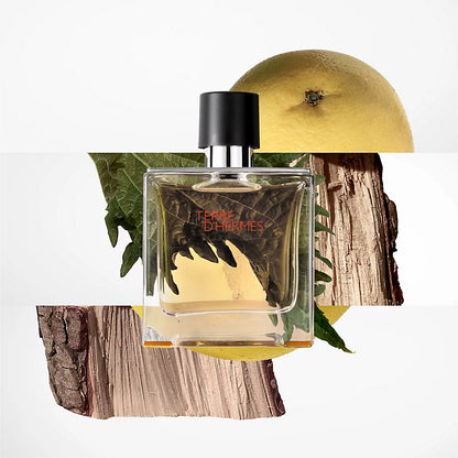 Terre D&
