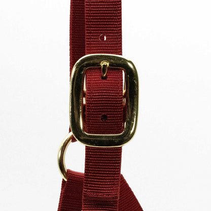 Jeffers Adjustable Halter with Throat Snap