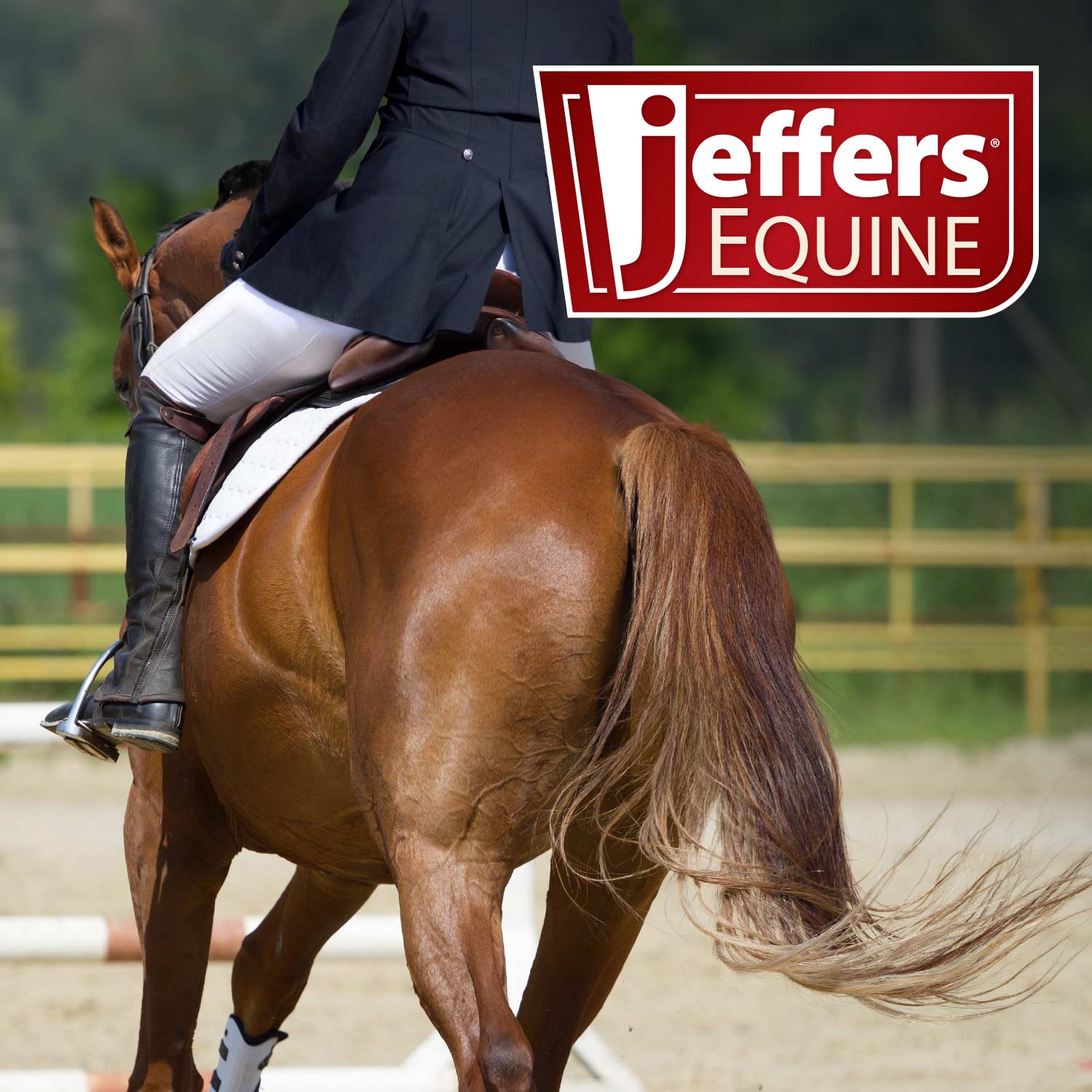 Jeffers Equine Tail &amp; Mane Detangler and Conditioner for Horses