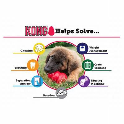 Kong Classic Rubber Dog Toy Durable Red Chew Toy XS 6cm