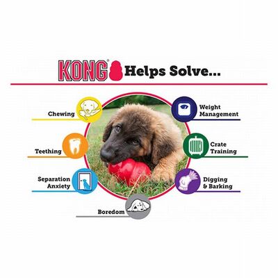 KONG Extreme Small Rubber Dog Toy Ultra Durable 8cm