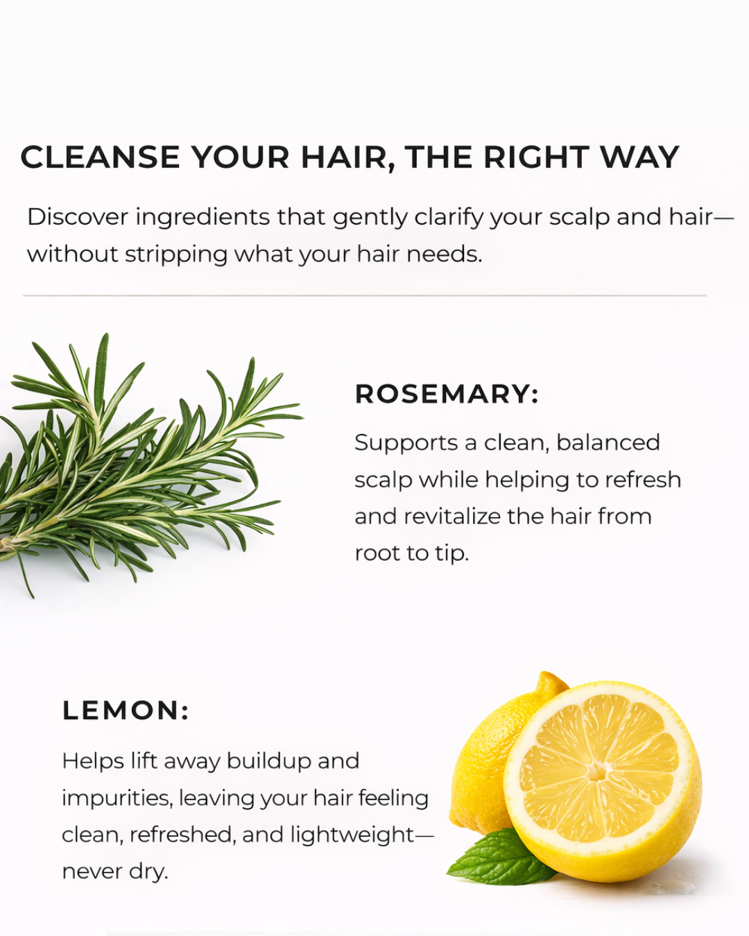 LEMON &amp; ROSEMARY CLARIFYING SHAMPOO