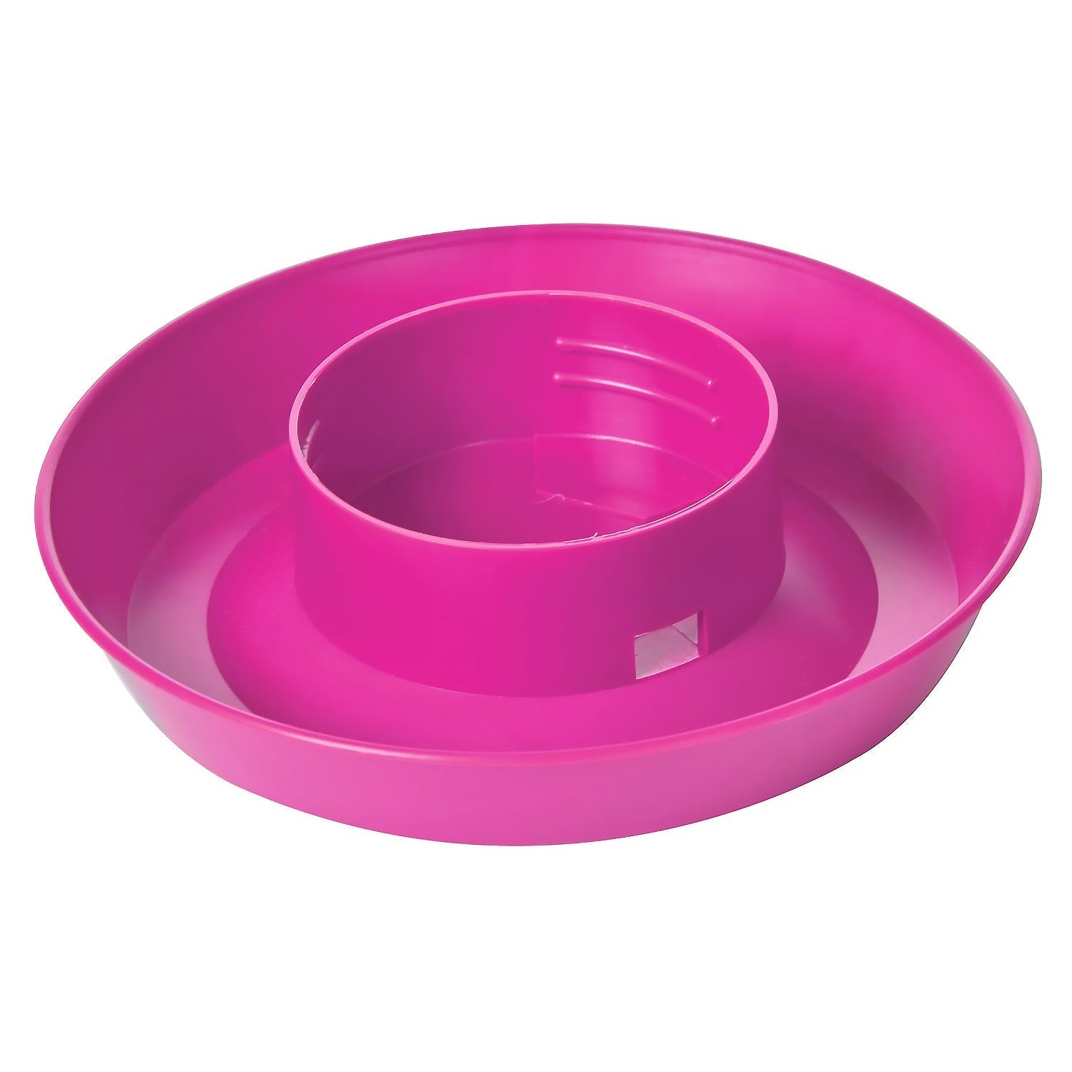 Little Giant 1 Quart Chicken Feeder &amp; Waterer – Plastic Screw-On Jar &amp; Base (Sold Separately)