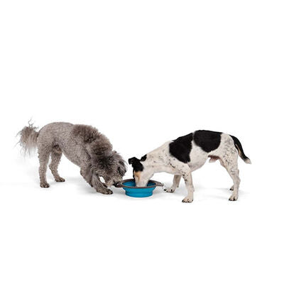 M-Pets Foldable Silicone Pet Travel Bowl for Food &amp; Water Blue 420ml