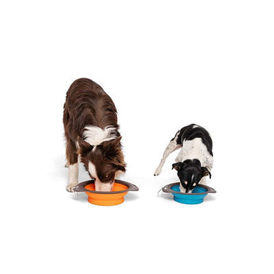 M-Pets Foldable Silicone Pet Travel Bowl for Food &amp; Water Blue 420ml