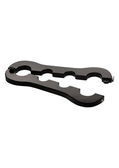 Master Series Trapped Wrist And Ankle Stocks