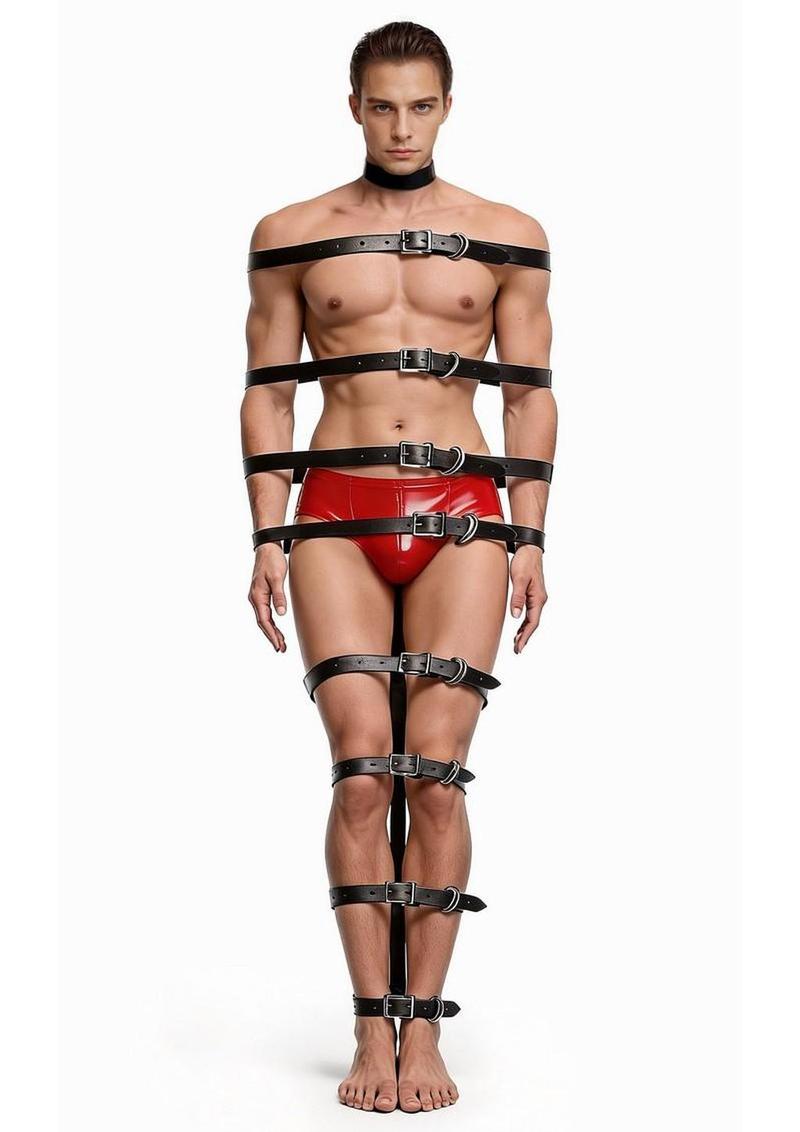 Master Series Backbone Full Body Harness