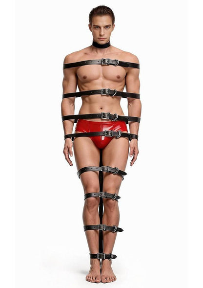 Master Series Backbone Full Body Harness