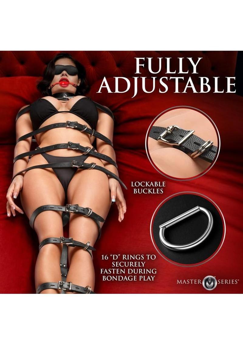 Master Series Backbone Full Body Harness