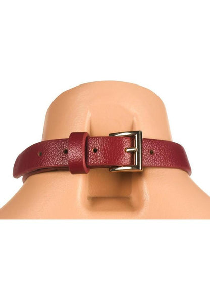 Master Series Captivate Collar