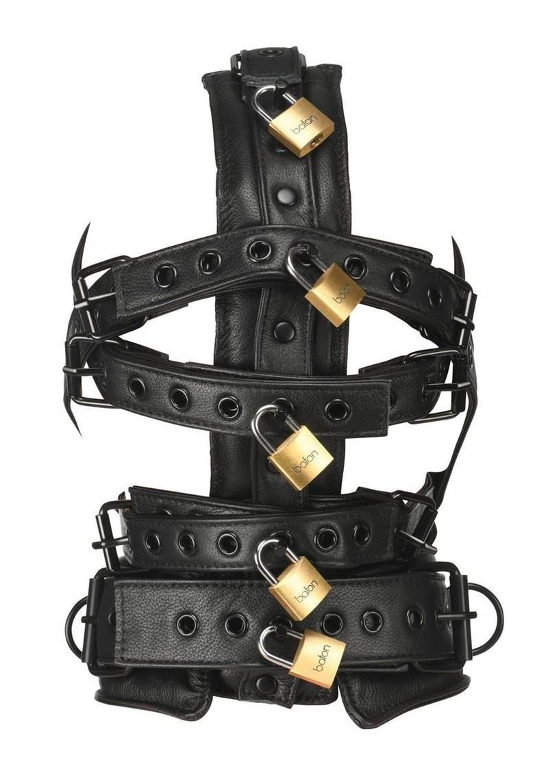 Master Series Leather Head Harness