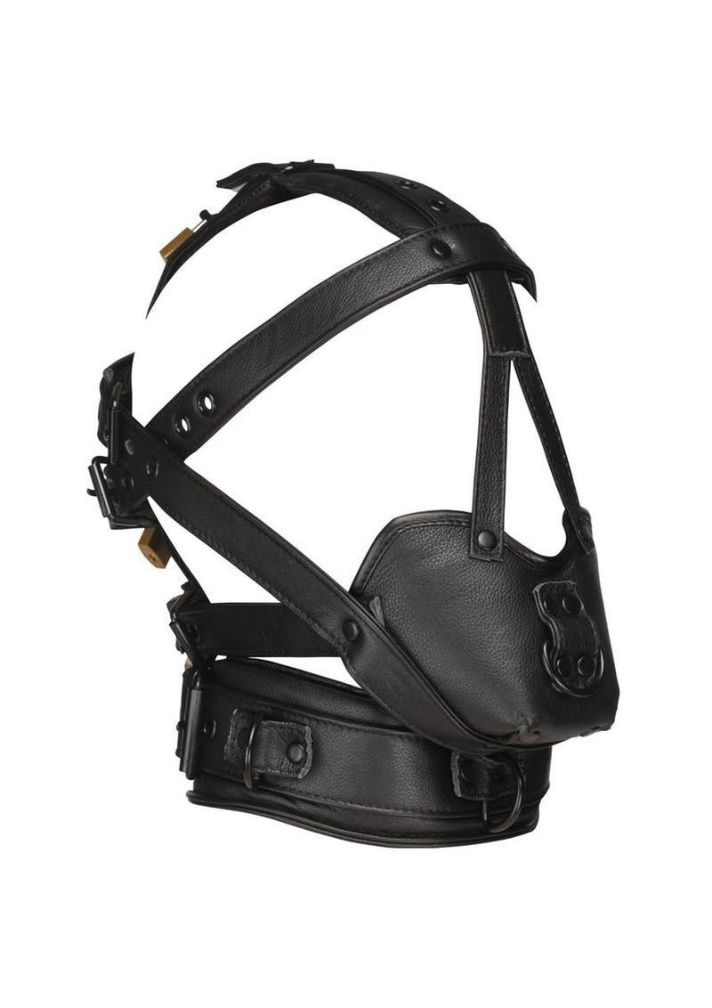 Master Series Lockable Head Harness