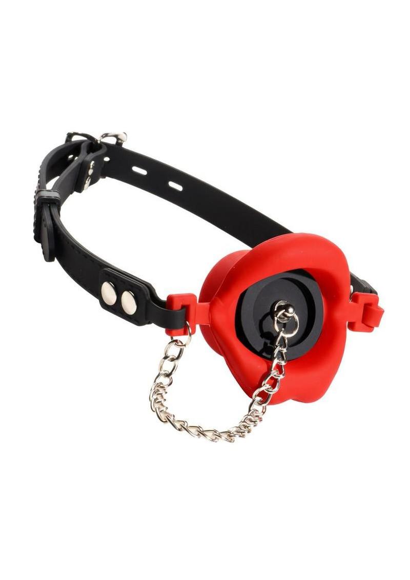 Master Series Silicone Feeding Gag