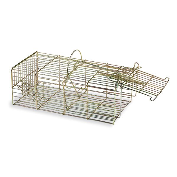 Multi-Catch Live Mouse Trap – Humane &amp; Reusable