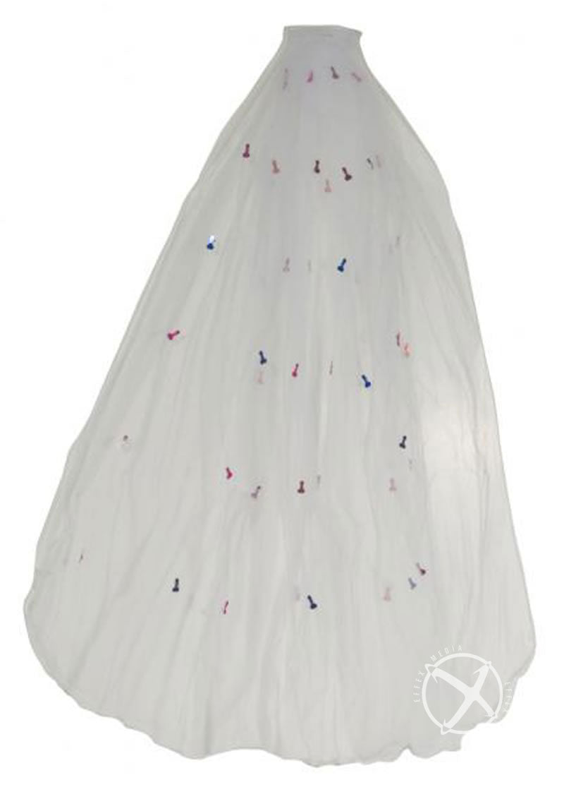 Naughty Veil Fun and Playful Bridal Accessory