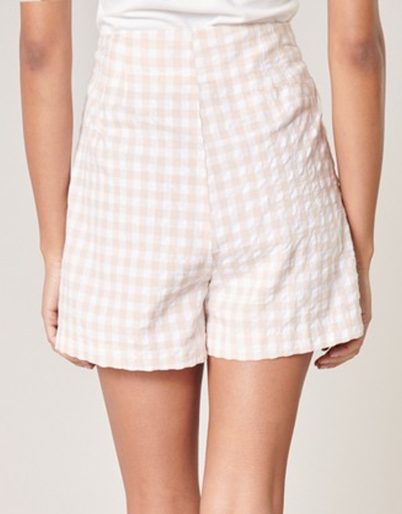 Piedra Gingham High Waisted Shorts