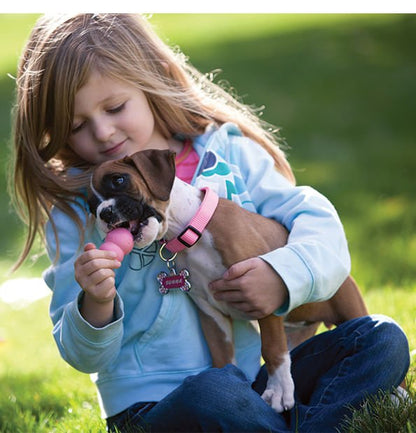 Puppy KONG Treat-Stuffing Chew Dog Toy