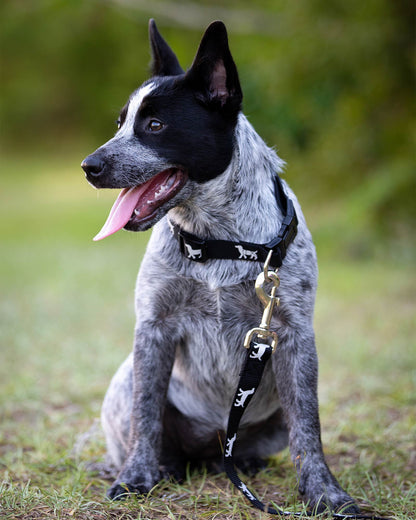 Jeffers Reflective Hound Series Adjustable Nylon Dog Collars
