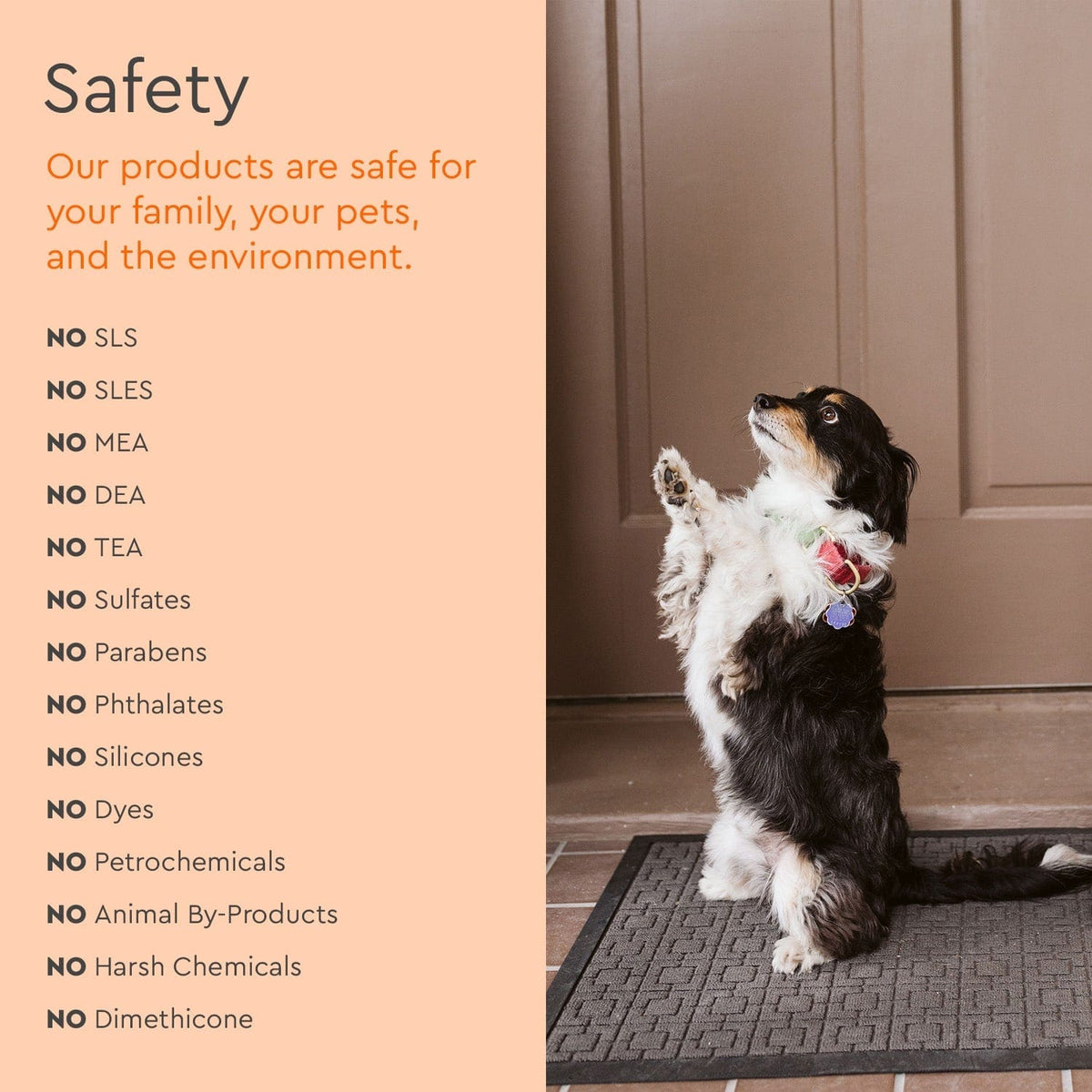 Pet Stain &amp; Odor Remover