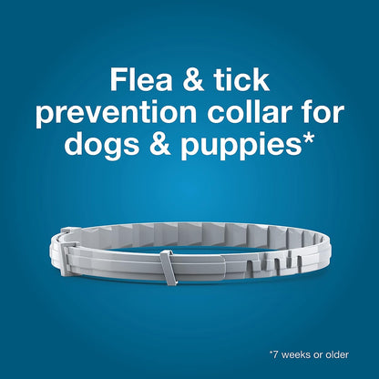 Seresto Flea &amp; Tick Dog Collars