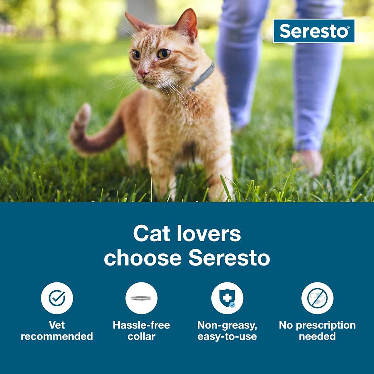 Seresto Flea &amp; Tick Collar for Cats