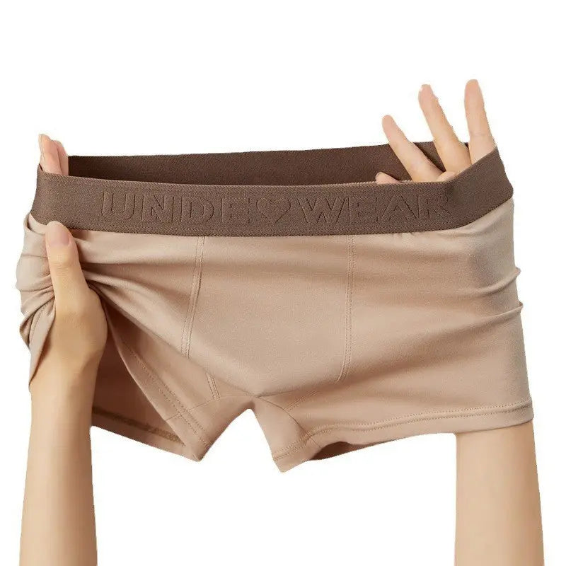 Maillard Cotton Men&