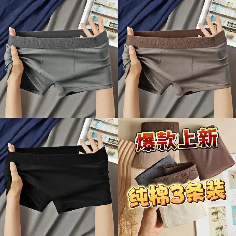 Maillard Cotton Men&